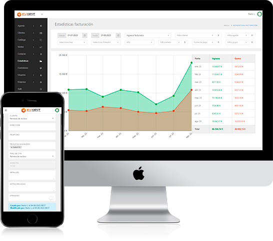 Software de facturación EviGest - Estadísticas responsive